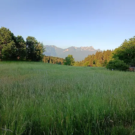 Idyllische Sued-wohnung In Woertherseenaehe Fuer Zwei Personen Lejlighed *